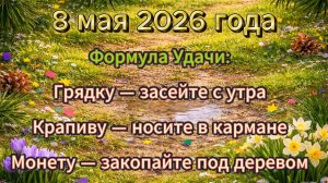 Народные приметы на 8 мая 2026 года