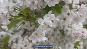 Молодые специалисты в строю добрых дел