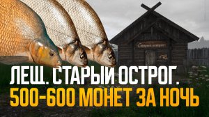 Как ловить леща, чтобы хорошо фармить? Новые точки ● Русская рыбалка 4