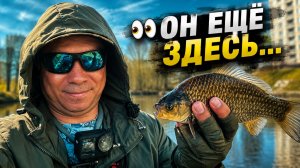 КАРАСЬ-КРАКЕН ЖИВ! Весенний мормышинг на сложном пруду. CF Nano Travel AIR в деле!