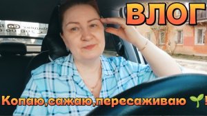 ВЛОГ «Копаю,сажаю 🌱 пересаживаю цветы 🥀!)😊🌹