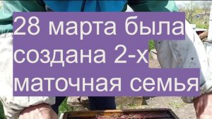 Создать медовик на акацию не получилось в 2-х маточном улье ППУ.