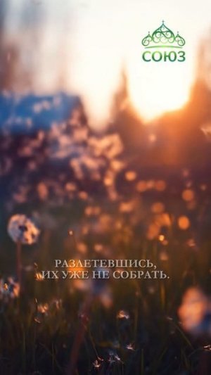 Береги свои слова