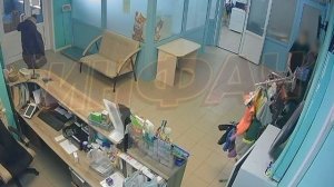 В Новосибирске произошёл конфликт между хозяйкой собаки и сотрудницей ветеринарной клиники, который