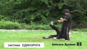 Система Единорога. Хэ Цзиньбао