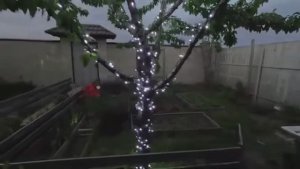 Жизнь вне орхидей - трудотерапия под красивые виды в своём ДВОРЕ
