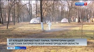 В Нижегородской области активно проводят акарицидные обработки