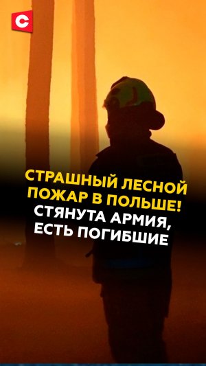 Страшный лесной пожар в Польше! Стянута армия, есть погибшие #польша #чп #пожар #новости #ств