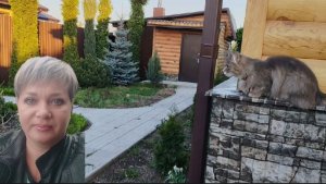 Высадила помидоры. Подкормила землянику.