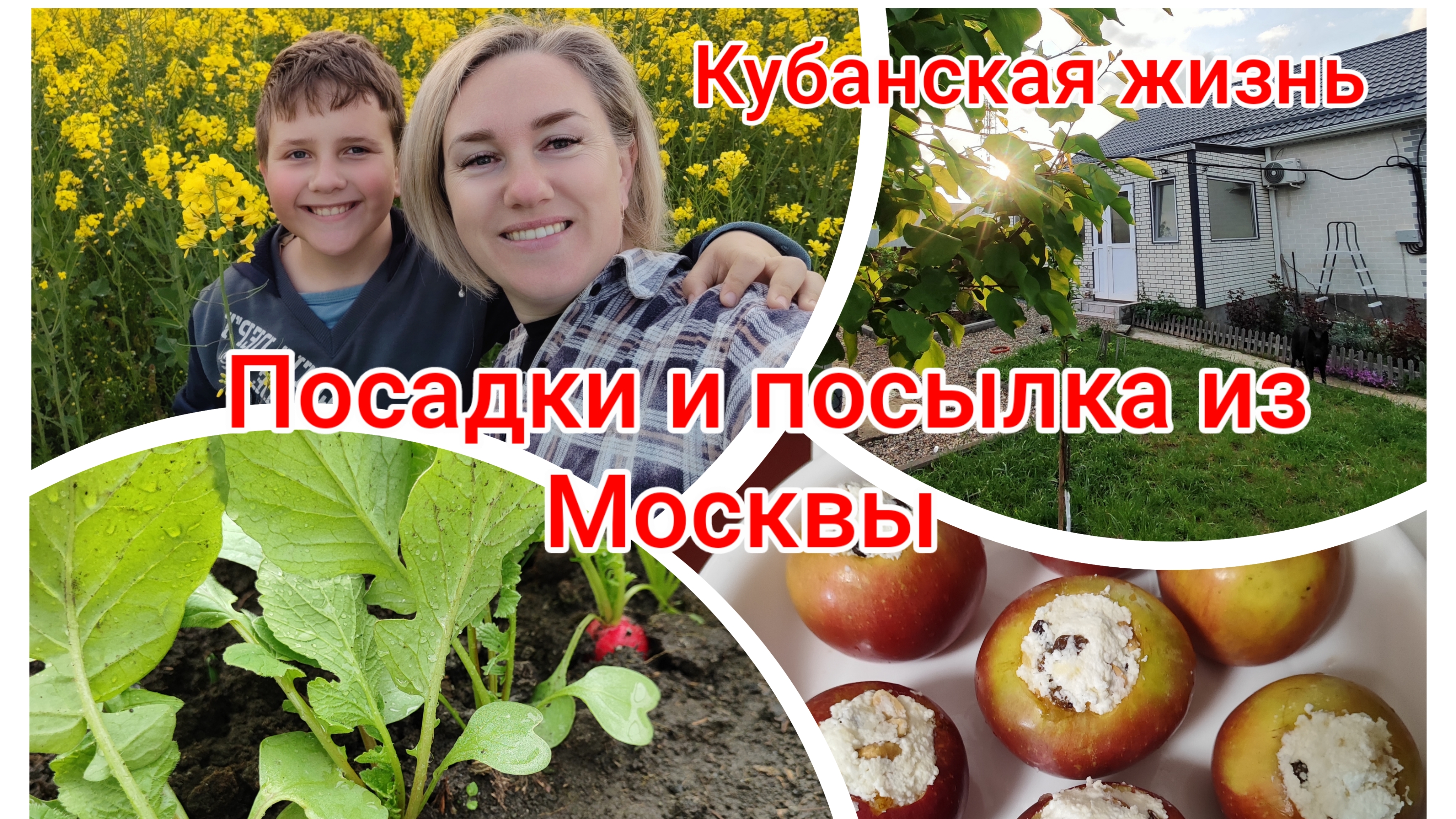 Наша кубанская жизнь🌻 Рецепт засолки, новые посадки и подарки из Москвы ❤