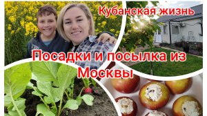 Наша кубанская жизнь🌻 Рецепт засолки, новые посадки и подарки из Москвы ❤