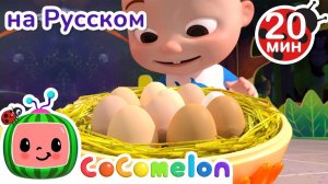 Сколько Вылупилось Цыплят#🟡 # CoComelon на русском — Детские песенки