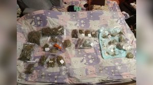 Домашняя марихуана