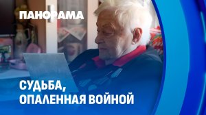 Война отняла детство, но не сломила дух: история Раисы Сидловой. Панорама