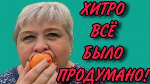 ХИТРО ВСЕ ПРОДУМАЛИ! АРХИВ. ОЛЬГА УРАЛОЧКА LIVE. ОБЗОР.