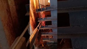 шашлык из перепелов с картошкой