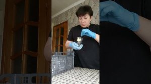 Мои огородные дела закончились 🌱не успев начаться 😁