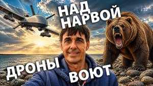 Стих 311. Над Нарвой дроны воют