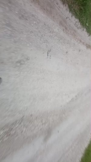 еду в гости, отвезу и домой
