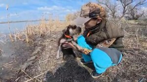 ДОНКИ ПОДЛЕТАЮТ ОТ ЭТИХ ПОКЛЁВОК! Рыбалка на сазана и карася на донки.