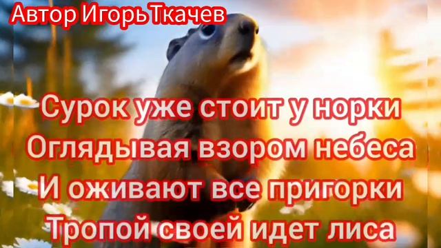 Стихи. ДУША. УТРО