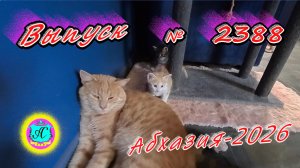 #Абхазия2026🌴 06.05.26г.🔥 Выпуск № 2388❗вчера +16°🌡ночью +12°🌡море +12,8°🐬