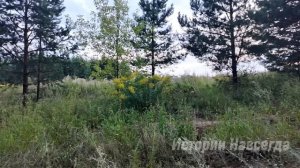 Получив звонок от соседки, Ирина спешила к больной свекрови. А случайно подслушав…