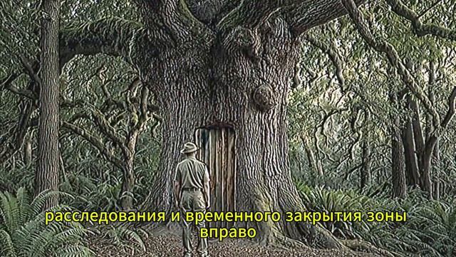 Лесник нашёл дверь внутри вековой сосны в тайге -тайна  потрясла его.