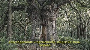 Лесник нашёл дверь внутри вековой сосны в тайге -тайна  потрясла его.