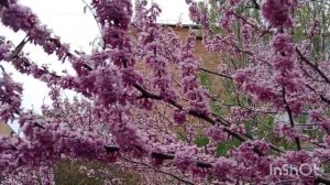 Прогулка по улочкам Ейска. Это не продукты