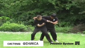 Система Феникса. Хэ Цзиньбао