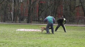 05-02-2026_ЧР по БРР Группа Б Первый участник 4 этап
