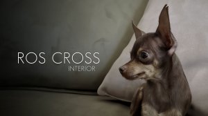 ZORKO production - ROSCROSS INTERIOR