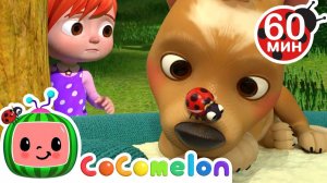 Где Пес#🐶 # Сборник 1 час # CoComelon на русском — Детские песенки