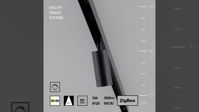 Cветильник Maytoni Exility Focus LED TR032-4-5WTW-M-DSZ-B смотреть онлайн