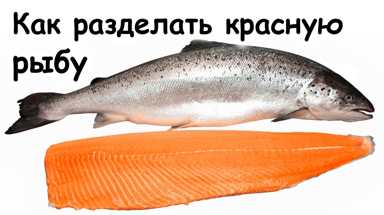 Как разделать красную рыбу
