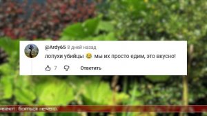 06.05.2026 Сахалинские блоги. ИСТОРИЯ НА КАРТЕ. Серкреты Сахалина