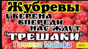 Жубревы Life Vlog _Обзор Влогов _Трешаки ещё впереди, наверное_ __