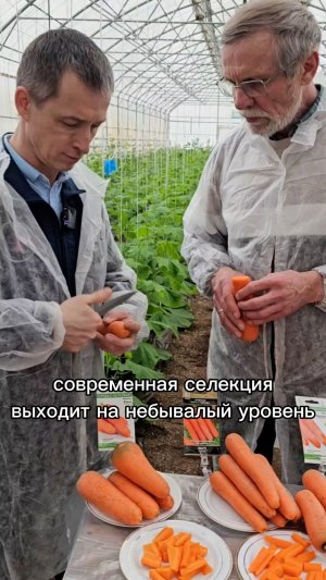Эти сорта моркови - ФАВОРИТЫ У КОСМОНАВТОВ!