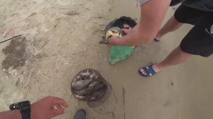 рыбалка на Дону весной на донки