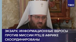 Экзарх: информационные вбросы против миссии РПЦ в Африке скоординированы