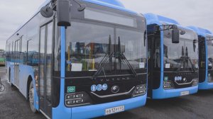 НОВЫЕ АВТОБУСЫ