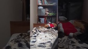 VID_20260506_113325.mp4