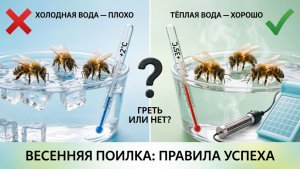 Весенняя поилка: греть или нет? Как часто менять воду? 🐝 Ответ профессора Кашковского