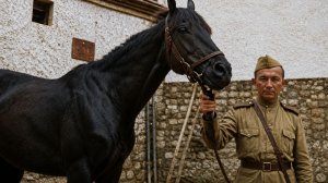 Как башкирские лошади совершали рейды по тылам врага в годы Великой Отечественной войны
