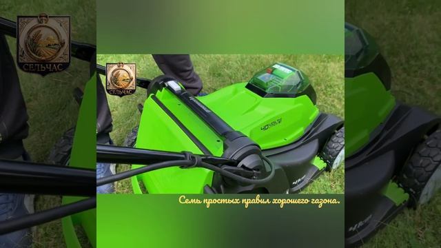 Семь простых правил хорошего газона.