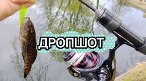 РОТАН НА ДРОПШОТ🚀 |CF SUBZERO 0.1-0.8|