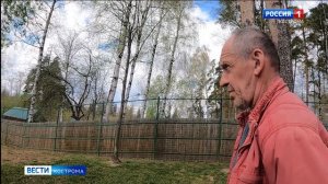 Пополнение в Костромском зоопарке: переживший похищение кенгуру Крош стал папой