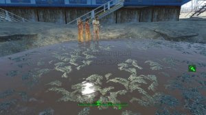 Fallout4Спецстрой_Старлайт_смоляника