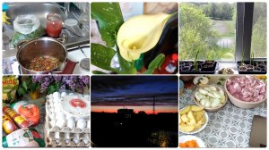 Новое для нас блюдо и лёгкое. Уборка в детской. Покупки для домашнего фарша и не только 🔥